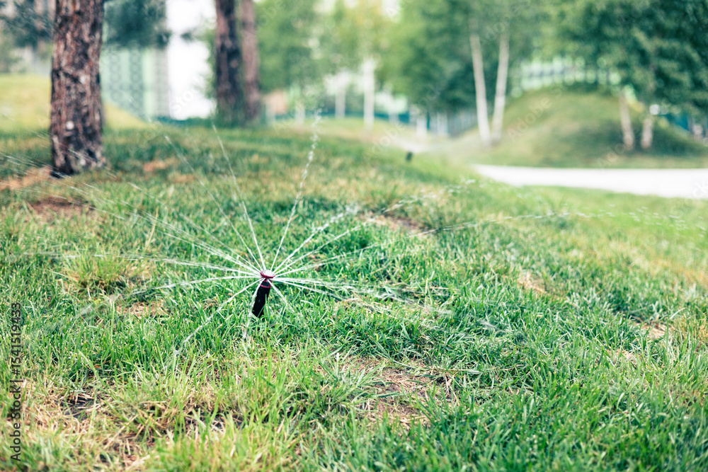 Naklejka premium Abandoned sprinkler on the grass in the city park.