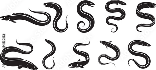 Collection of black silhouettes various eel species. eps-10
