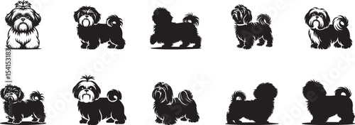 Adorable shih tzu dog breed silhouettes collection. eps-10
