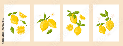 Lemons, flowers and leaves, vector crayon illustration set. Card, invitation or poster. Trendy hand drawn retro design for wall decor, postcard, cover, t shirt, prints