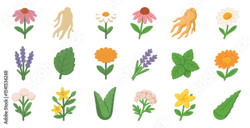 Herbal and medicinal plants icons set - flat, natural, botanical symbols