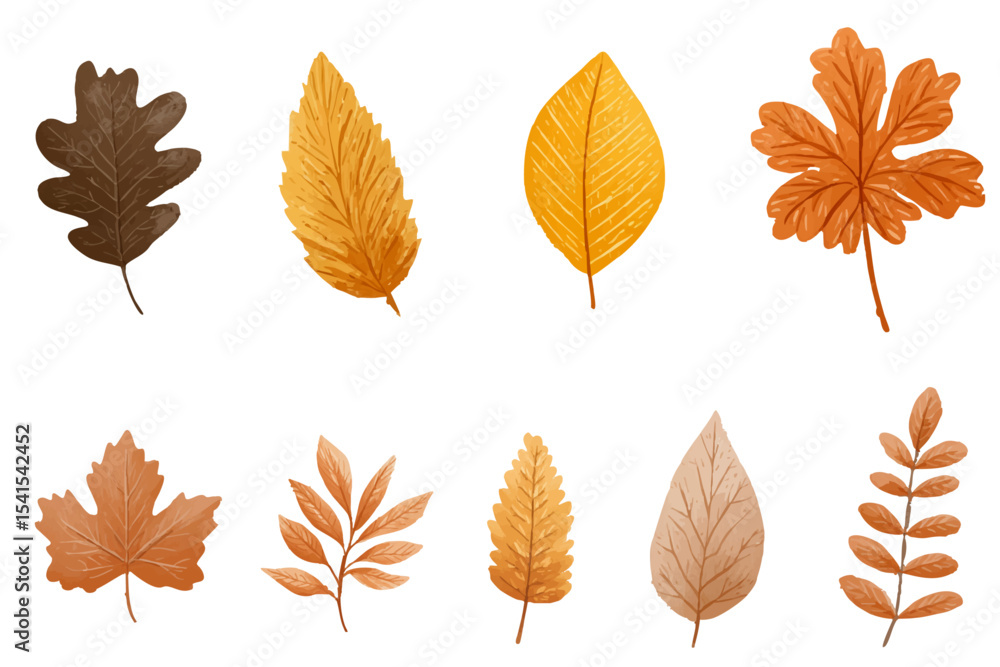 Obraz premium Collection of autumn foliage leaves in orange and brown tones isolated on white background illustration
