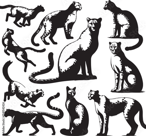 Set of chita silhouettes vector