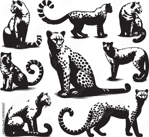Set of chita silhouettes vector