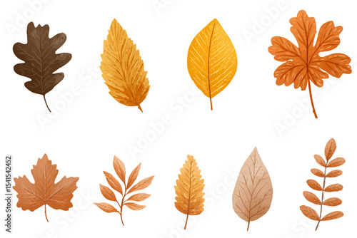 Collection of autumn foliage leaves in orange and brown tones isolated on white background illustration