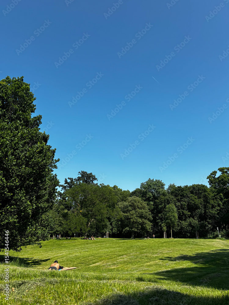 Fototapeta premium Rolling Green Hills and Trees in a European Park on a Sunny Summer Day