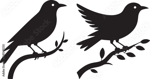 bird, flying, feather, wing, flight, nature, freedom, beak, wild, sky, perch, soar, animal, avian, migration, songbird, nest, wildlife