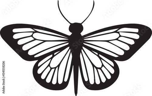butterfly, insect, wing, flight, nature, colorful, flutter, garden, delicate, beauty, metamorphosis, antenna, pollinate
