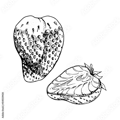 Strawberry ripe fruit with leaves crown full and cut in half hand drawn in vector ink, garden strasberry berry. Botanical isolated illustration. Home preserves cookbook, grocery store food closeup