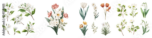 Wallpaper Mural A collection of delicate floral botanicals and nature long title A beautiful arrangement of various spring flowers plants and foliage showcasing the Torontodigital.ca
