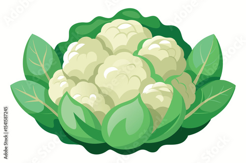 Fresh cauliflower surrounded by vibrant green leaves in a garden setting
