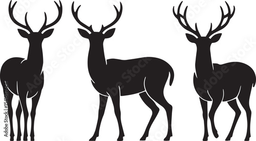 deer, antlers, wildlife, forest, animal, nature, buck, doe, stag, woodland, mammal, graze, jump, herd, horns, graceful,
