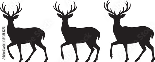 deer, antlers, wildlife, forest, animal, nature, buck, doe, stag, woodland, mammal, graze, jump, herd, horns, graceful,