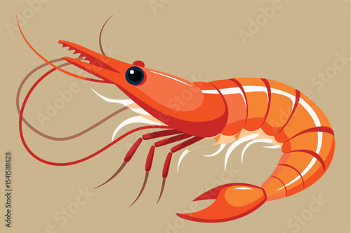 Bright orange shrimp showcasing detailed features in a minimalist style, ideal for marine biology education and culinary art