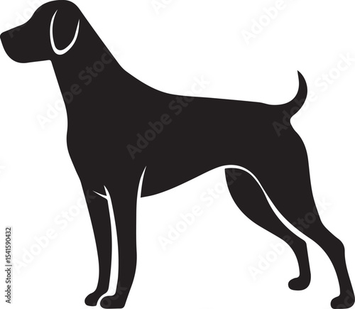 dog, canine, pet, loyal, animal, tail, bark, puppy, fur, walk, guard, domestic, friendly, paw, leash, sniff, breed,