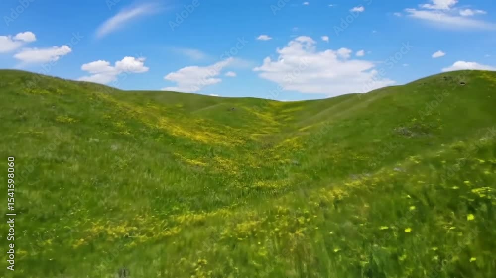 Lush green hills, dotted with yellow wildflowers, under a vibrant blue sky Lush green hills, dotted with yellow wildflowers, under a vibrant blue sky