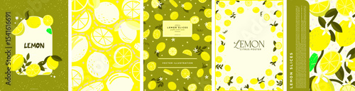 Lemon Fruit and flower citrus design for posters, background, card, templates. Vector Illustrations of lemon slices, leaves, and flowers for cute pattern decoration. Summer fruit templates.