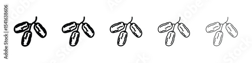 Date fruit icon logo in stroke lines collection