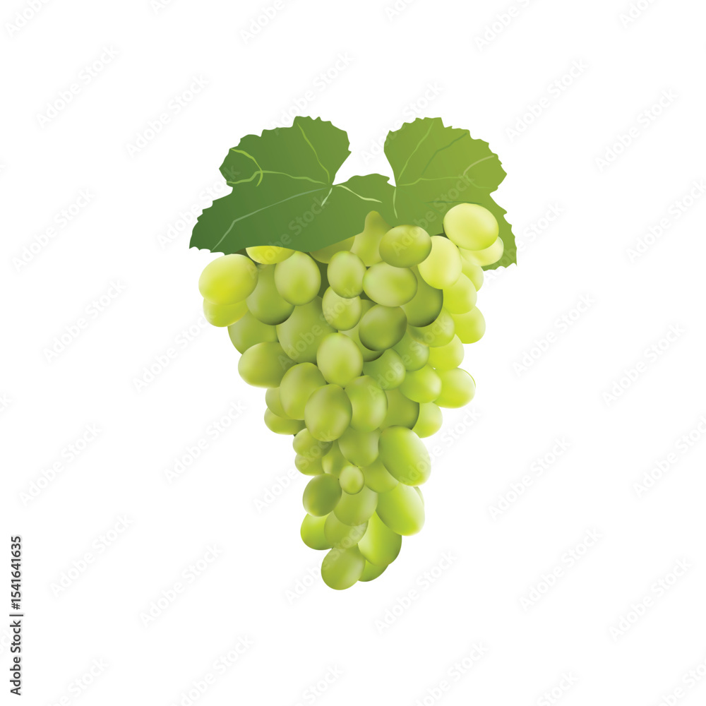 Obraz premium grapes fruit Slice illustration on white backgorund vol 02