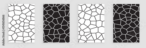 Black and white cells vector backgrounds Voronoi covers set. Irregular geometric tile. template rocks and stones wallpapers collection for web the web and science cards, interior designs