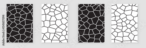 Black and white cells vector backgrounds Voronoi covers set. Irregular geometric tile. template rocks and stones wallpapers collection for web the web and science cards, interior designs