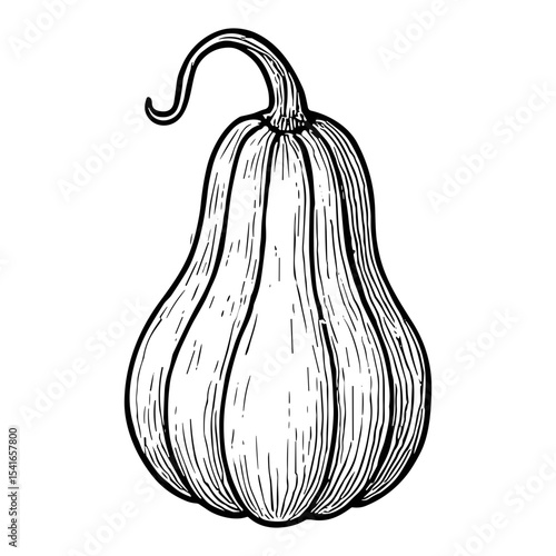 Long Gourd