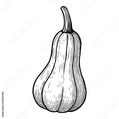 Mini Gourd