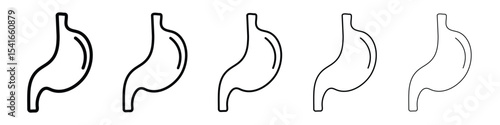 Stomach icon logo in stroke lines collection