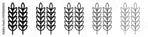 Wheat icon logo in stroke lines collection