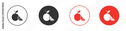 Citrus fruit icon Logos. Flat Vector Icon Design Template