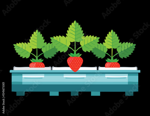 Horizontal Hydroponic Strawberry Growing Troughs