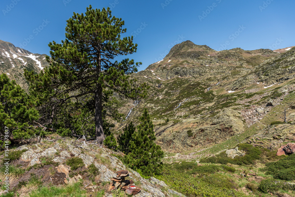 Obraz premium long-distance trail, High Pyrenean Route (HRP) towards the Certascan refuge, Pallars Sobirà region, Lleida, Catalonia, Spain