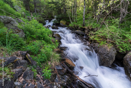 Estanyó river through the forest, Sorteny Valley Natural Park, Ordino district, Andorra, Europe
