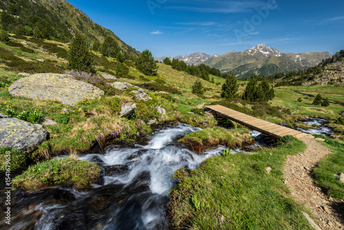 stream with meltwater flowing down the Sorteny valley, Sorteny Valley Natural Park, Ordino district, Andorra, Europe
