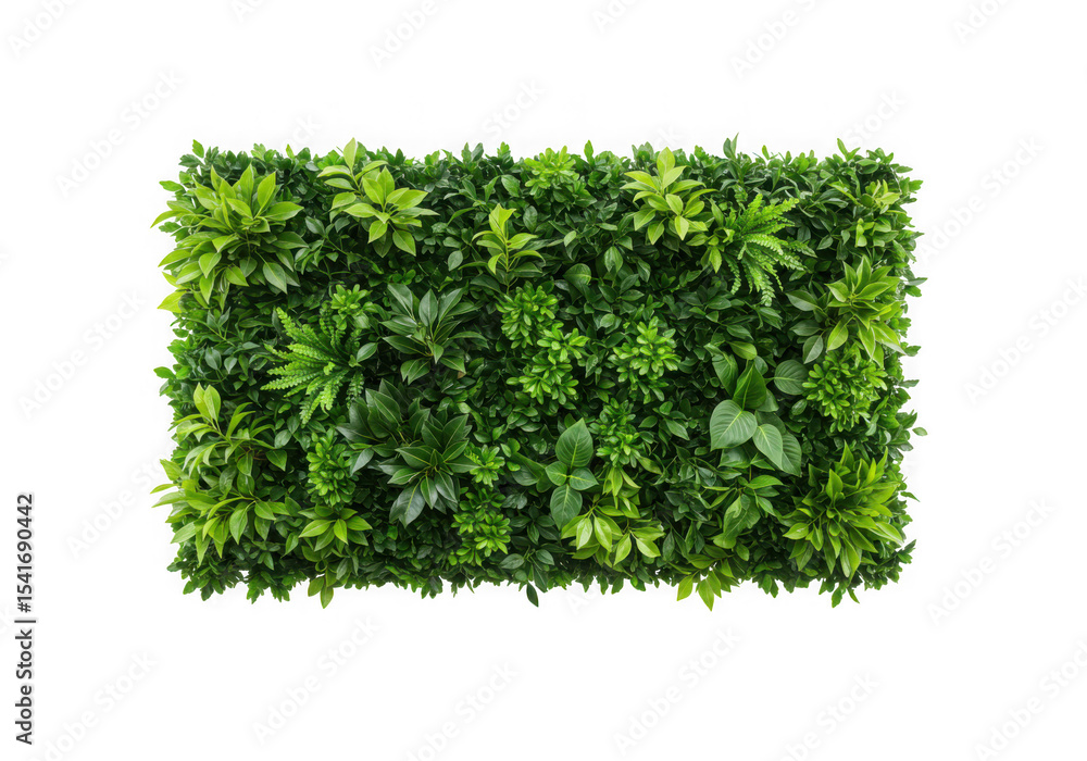 Obraz premium Lush green greenery wall panel texture