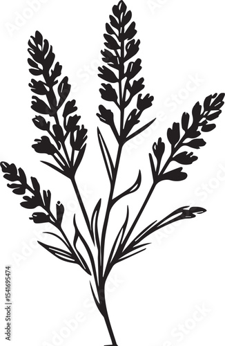 Elegant Lavender Sprig Sketch: A minimalist sketch showcases a single sprig of lavender, its delicate flowers and stem rendered in simple, artistic lines.