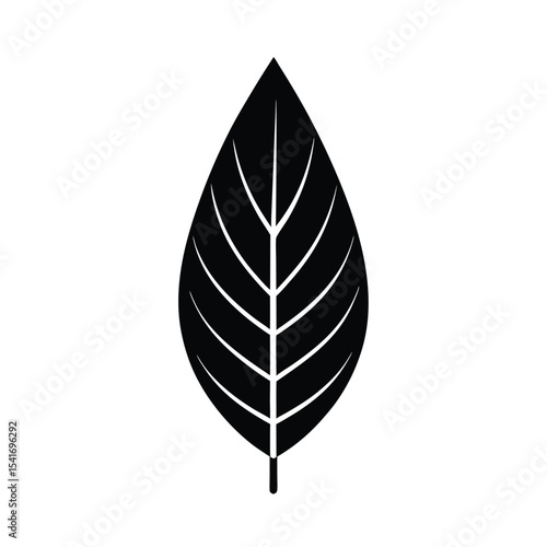 Single Leaf Pointed Tip And Central Vein Outline Vector Illustration