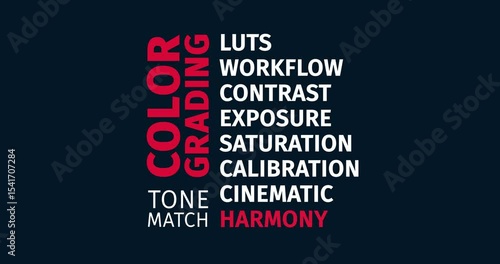 Color Grading Word-Cloud Featuring Tone Match and Visual Harmony