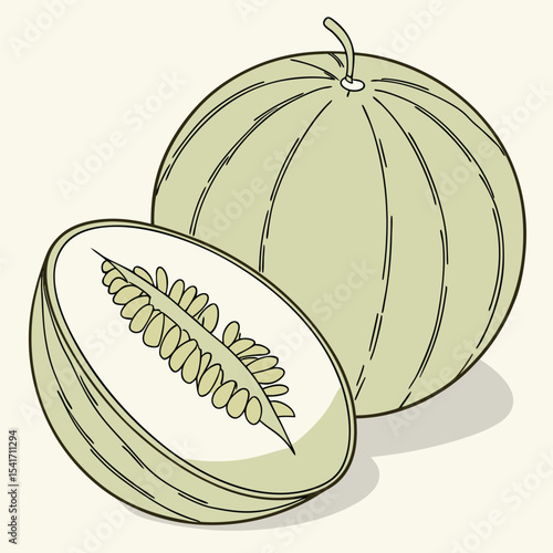 Whole and half honeydew melon illustration. Perfect for organic branding, botanical prints, packaging design, kitchen wall art, recipe books, skincare labels, and logo design.