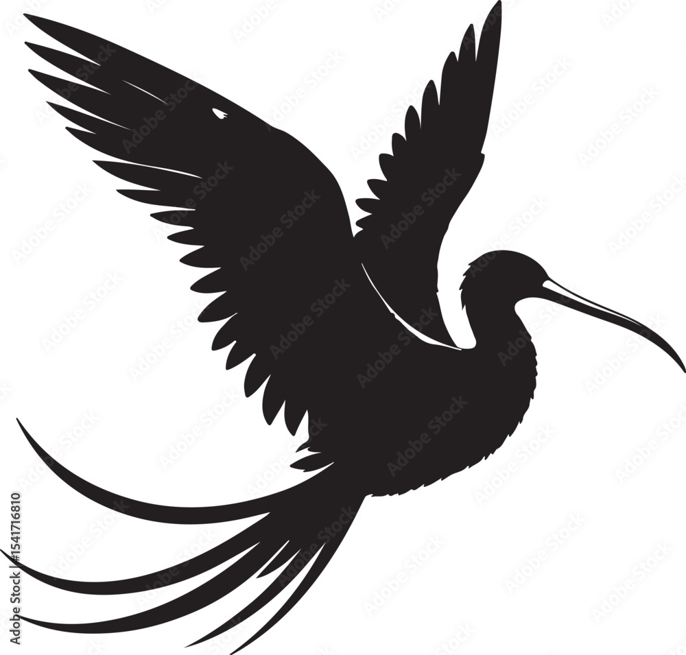 Fototapeta premium A silhouette frigate bird vector