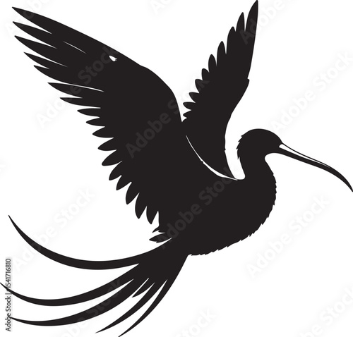 A silhouette frigate bird vector