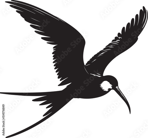 A silhouette frigate bird vector