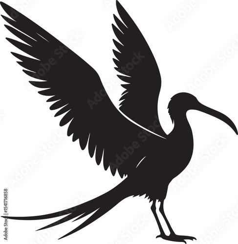A silhouette frigate bird vector