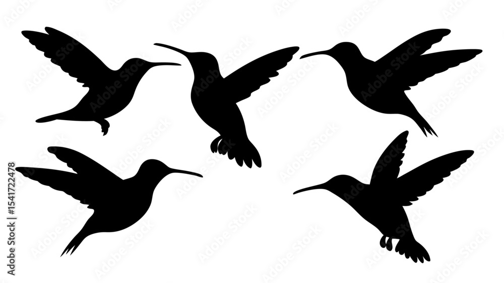Obraz premium humming bird silhouette vector illustration on tranparent background