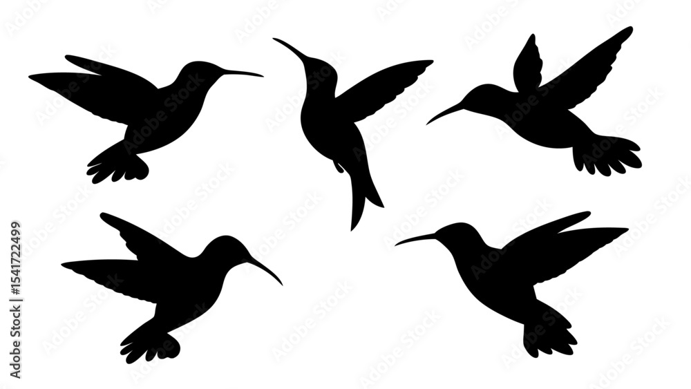 Fototapeta premium humming bird silhouette vector illustration on tranparent background