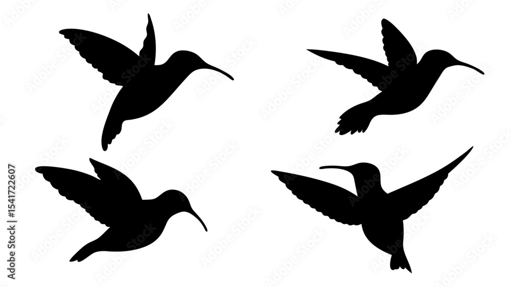Fototapeta premium humming bird silhouette vector illustration on tranparent background