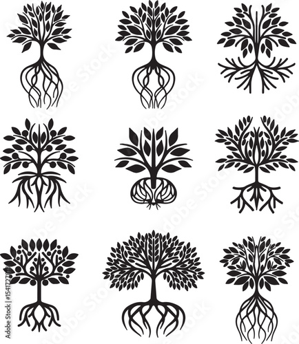 Floral, Silhouette, Bloom, Leaves, Plant, Nature Vector