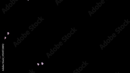 Graceful cherry blossom petal transition on transparent alpha background