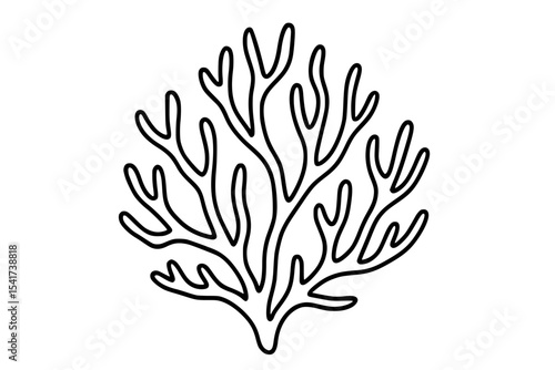 Coral Branch Drawing