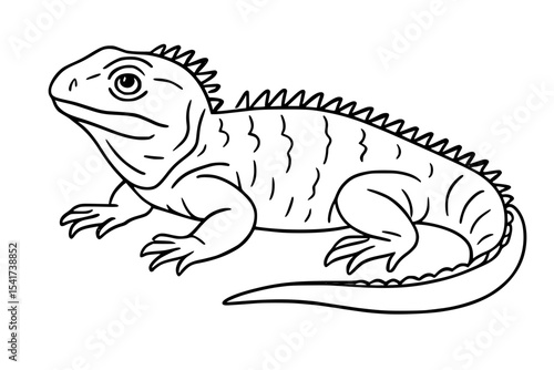 Tuatara Line Art Vector Illustration
